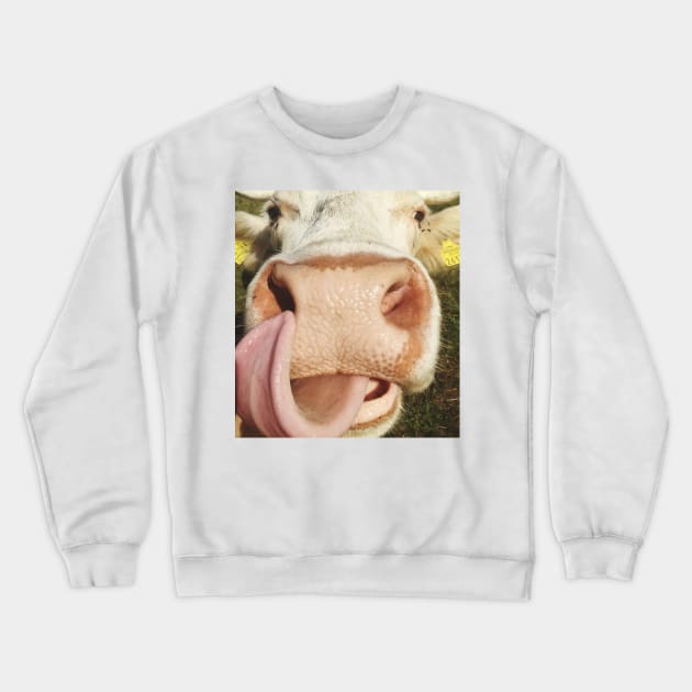 Portrait Of Cow Cute Funny Cow Gift Crewneck Sweatshirt by Karin Wright